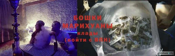 a pvp Бородино