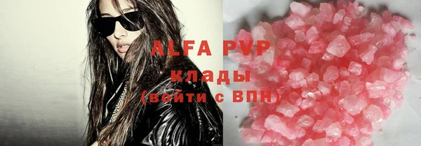 a pvp Бородино