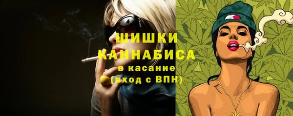 a pvp Бородино