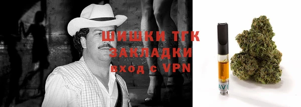 a pvp Бородино