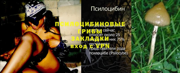 a pvp Бородино