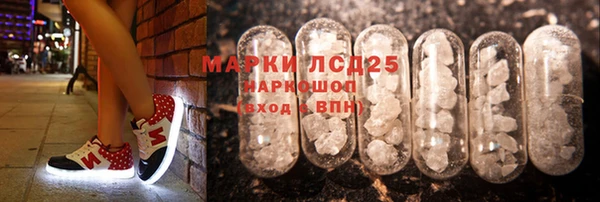 a pvp Бородино