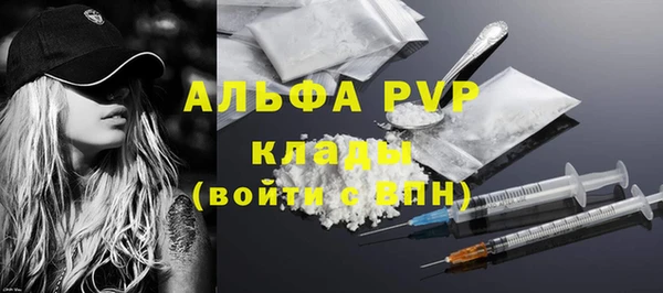a pvp Бородино