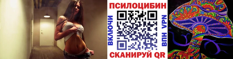 Псилоцибиновые грибы Psilocybine cubensis Калининград